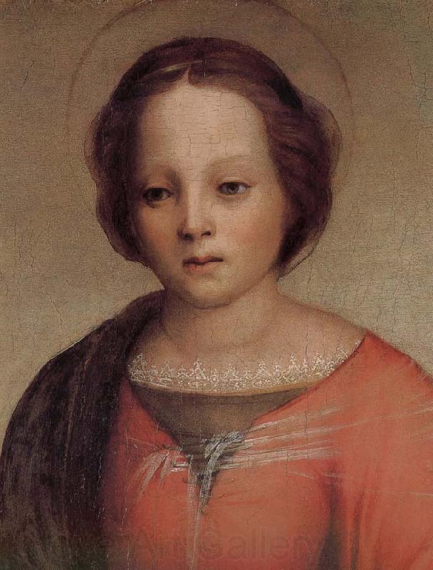 Andrea del Sarto Maria